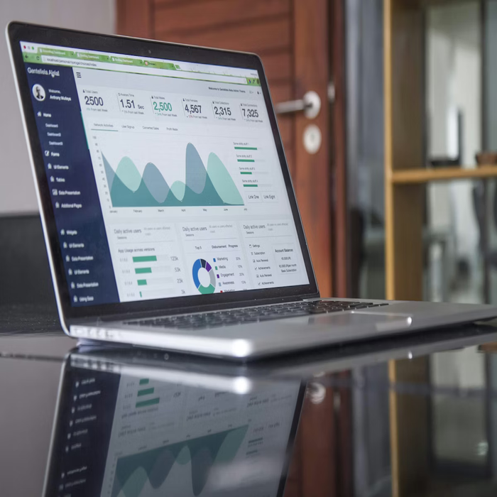 Business website & WP Development
